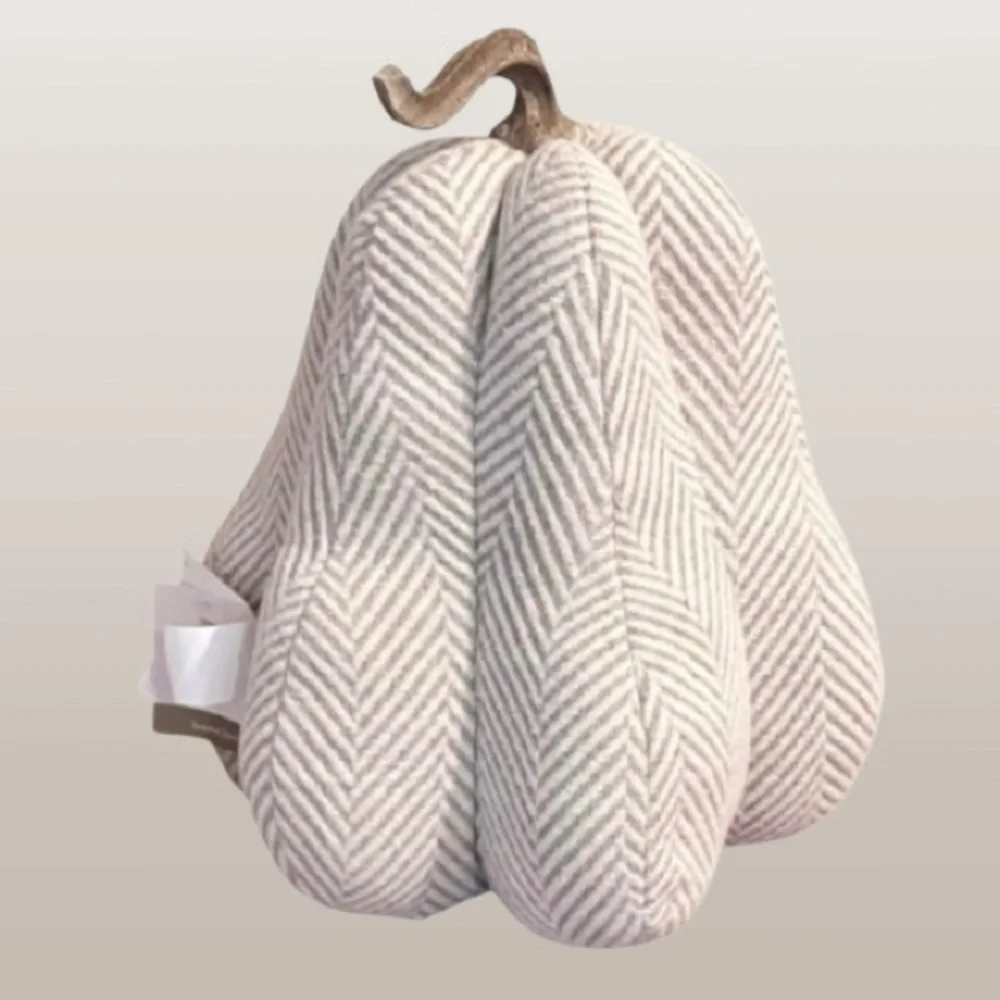 NWT- Hay Market Herringbone Fabric Neutral Pumpkin Accent Pillow